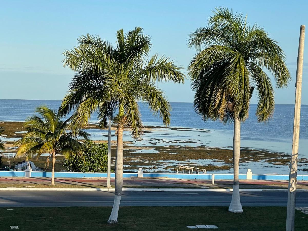 Apartamento La casa del colibrí Campeche Exterior foto